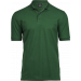 Forest Green,S