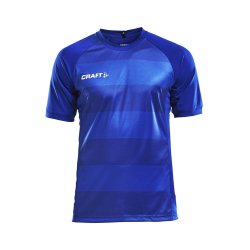 Craft Progress Jersey Graphic Herre 1905563