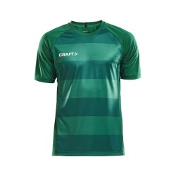Craft Progress Jersey Graphic Herre 1905563