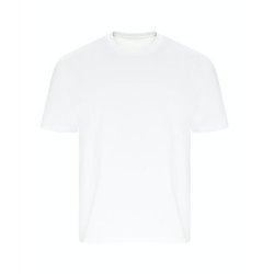 Ecologie Arrow Recycled Heavy Oversize Tee EA006