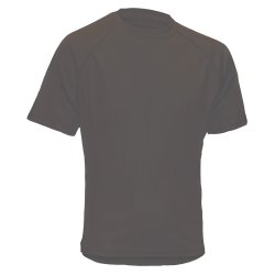 Pitch Stone Performance T-shirt 3042 (U)