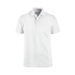 Berkeley Camden Polo 1191 (U)