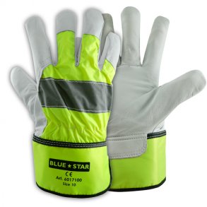 Blue Star Signal Foret Vinterhandske 6017100